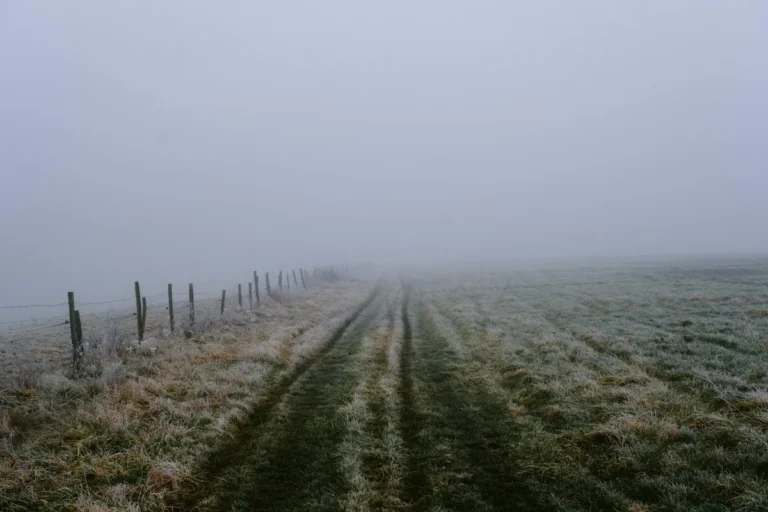 On the Particular Quietness of Documenting What Did Not Happen