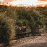 On What the Pillboxes Tell Us That We Should Not Forget