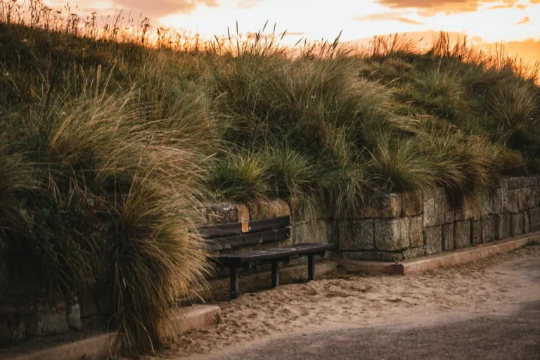 On What the Pillboxes Tell Us That We Should Not Forget