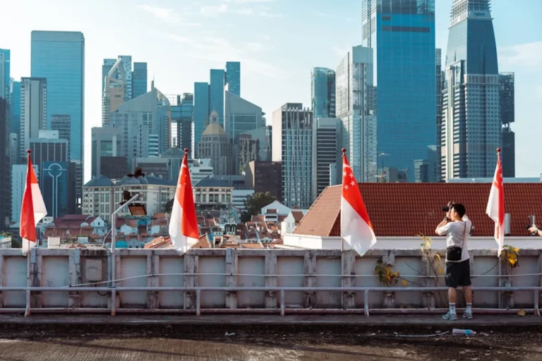 Red Flag With White Cross: Meaning, Style, History, and Visual Guide